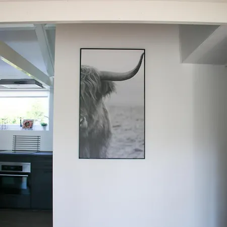 House Holiday home Schoorldam